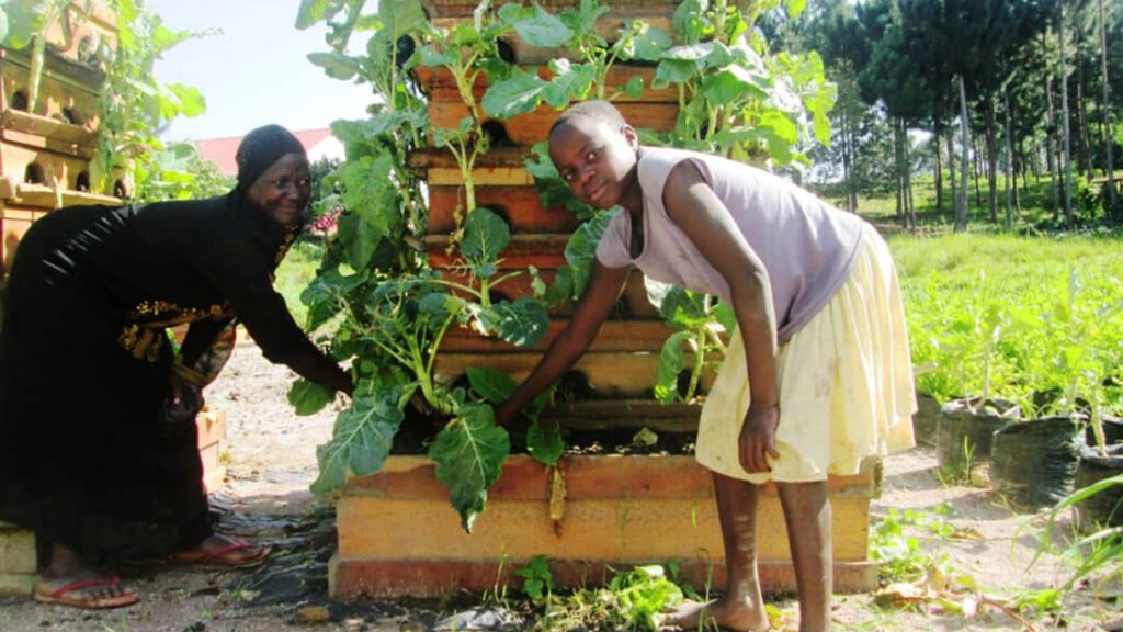 Micro Gardens for HIV Households